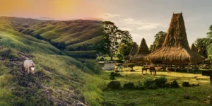 Sumba Isaland