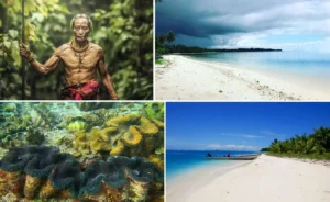 2D Tour Mentawai Tour Package Explore the Stunning Nature of West Sumatra, Indonesia