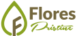 FLORESTOUR : KOMODO TOURS : FLORES PRISTINE TOUR 2025