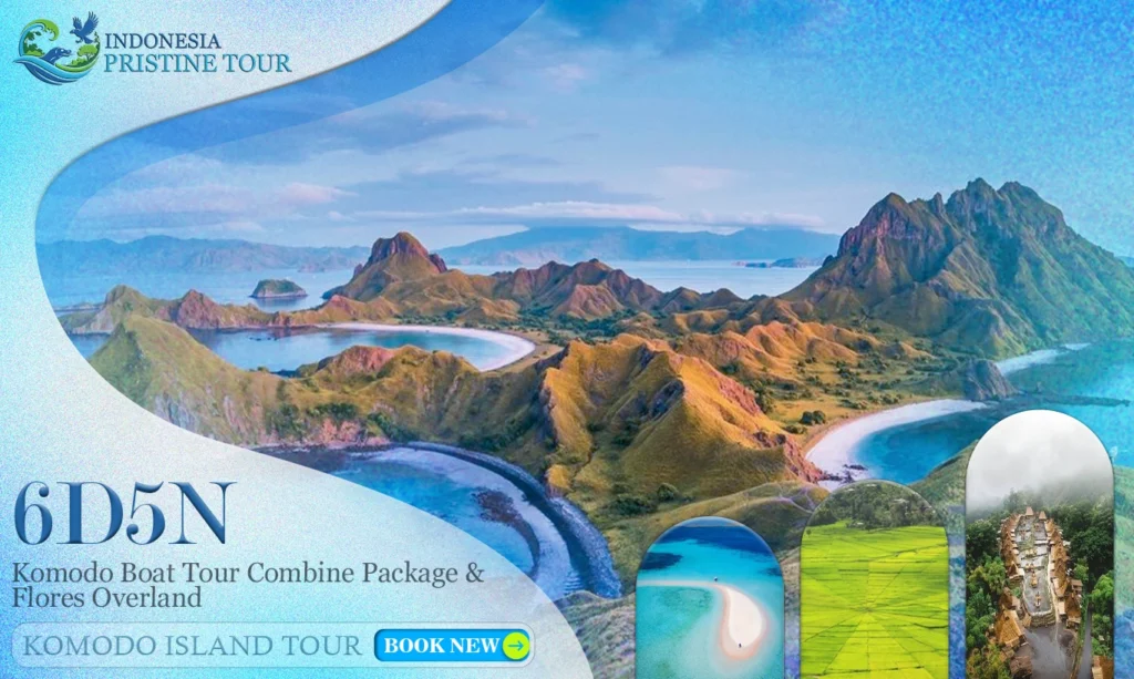 A friendly local guide standing with travelers overlooking the lush, circular Spiderweb Rice Fields in Ruteng, Flores.