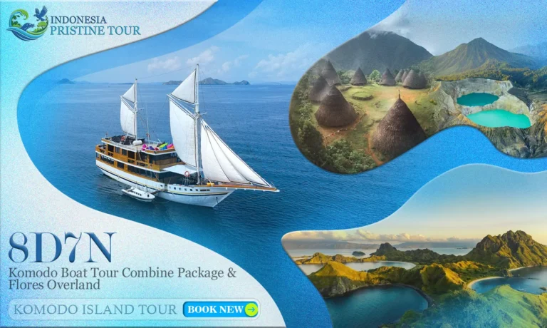 Komodo Boat Tour Combine Package & Flores Overland