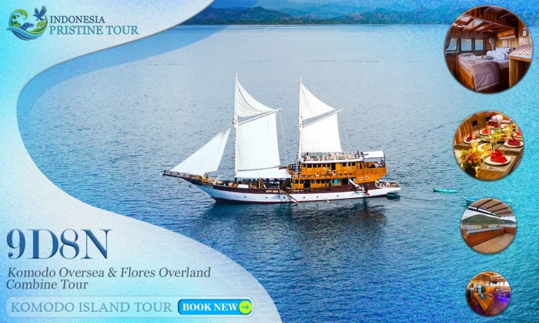 9D8N. Komodo Oversea & Flores Overland Combine Tour | Komodo Island Tour