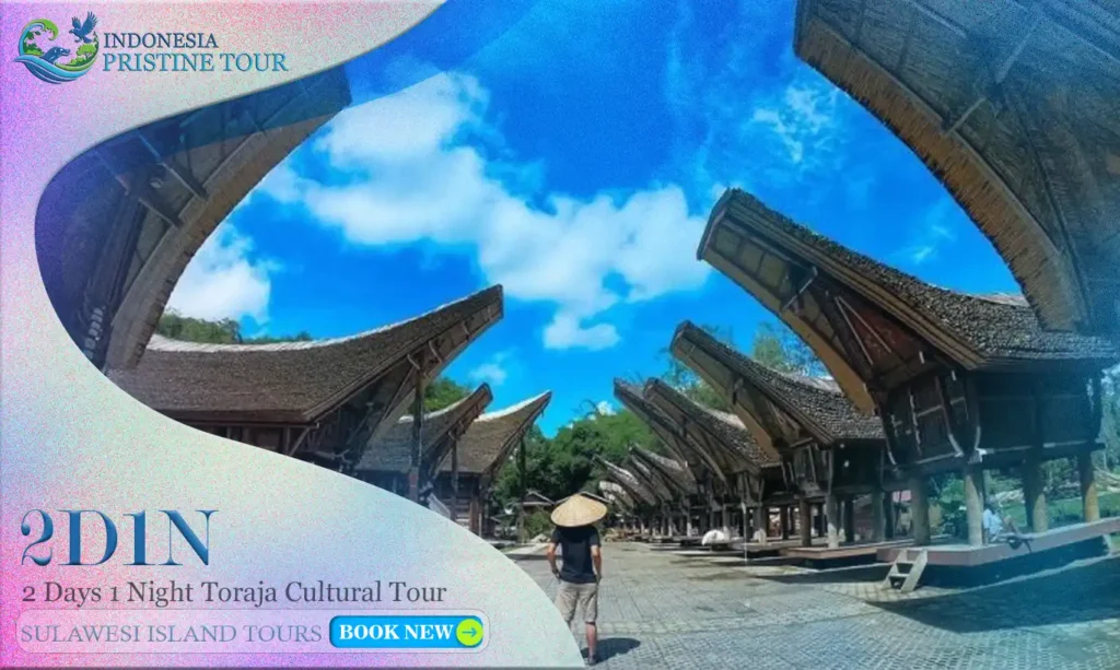 Toraja Cultural Tour 2 Days 1 Night – Stone cliff graves, traditional Tongkonan houses, scenic highlands, and Torajan countryside trekking