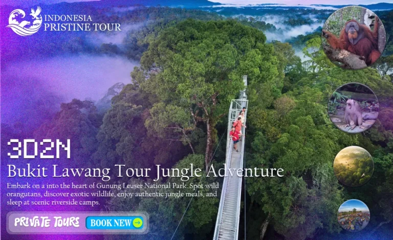 3D2N Bukit Lawang Tour Jungle Adventure