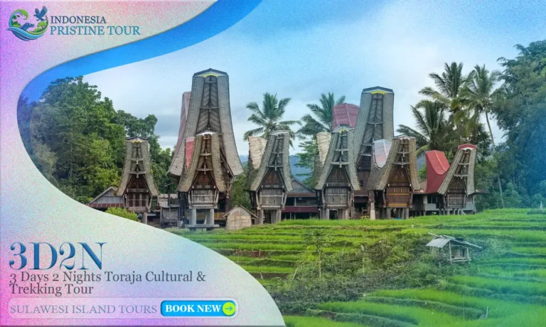 3 Days 2 Nights Toraja Cultural & Trekking Tour – Explore traditional Tongkonan villages, ancient burial sites with Tau-Tau effigies, scenic highlands, and countryside trekking