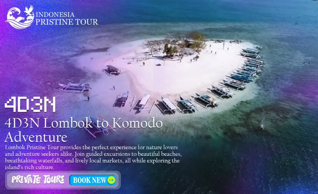 4D3N Lombok to Komodo tour itinerary featuring snorkeling, Komodo dragons, Padar Island, and tropical beaches
