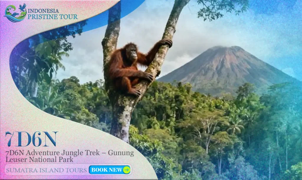 7D6N Adventure Jungle Trek in Gunung Leuser National Park – Sumatra wildlife and rainforest tour