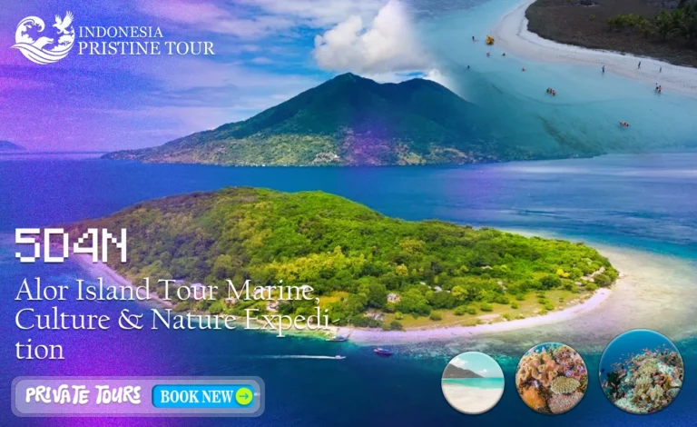 Alor Island Tour menampilkan keindahan bawah laut Alor yang spektakuler, lanskap alam tropis, serta kehidupan dan budaya lokal yang autentik.