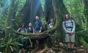 Borneo hiking tour through lush tropical rainforest trails