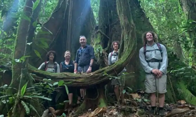 Borneo hiking tour through lush tropical rainforest trails