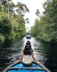 Borneo River Cruise Packages featuring wildlife and rainforest tours