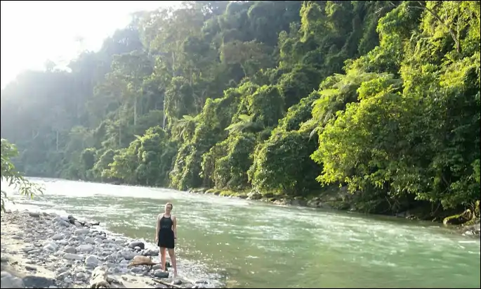 Bukit Lawang travel guide showcasing jungle trekking, orangutans, and river adventures in North Sumatra, Indonesia