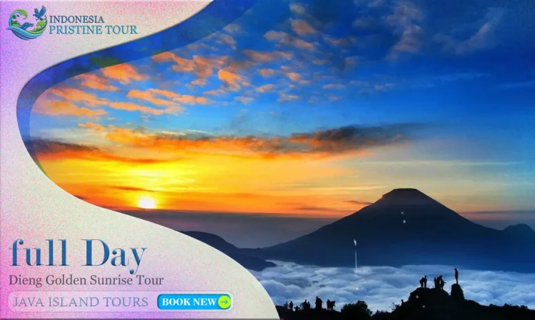 Dieng Golden Sunrise Tour with Sikunir Hill, Arjuna Temple, and Sikidang Crater