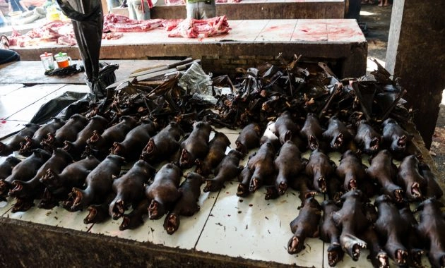 Tomohon Extreme Market North Sulawesi showcasing Minahasan cuisine, exotic foods, tropical fruits, and traditional market culture