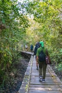 amily on a trip to Borneo”
