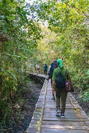 amily on a trip to Borneo”
