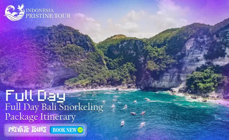 Full Day Bali snorkeling package itinerary with marine life, coral reefs, and tropical beaches