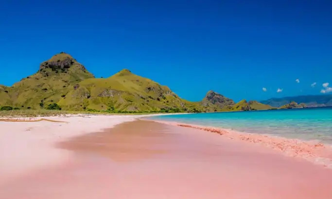 Pink Beach Lombok for travelers, featuring snorkeling, coastal views, and tours