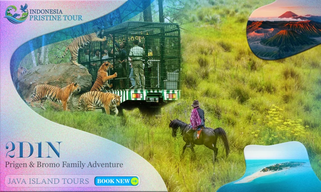 Family adventure in Prigen and Mount Bromo with scenic mountain views, sunrise landscape, and joyful moments during a 2 days 1 night trip.”