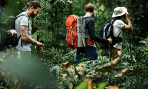 Experience a private eco-tour in Borneo, exploring lush rainforests, spotting orangutans, pygmy elephants, and rare birds, while supporting conservation efforts