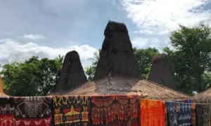 Private Sumba tour experience showcasing traditional villages, pristine beaches, rolling savannahs, and exclusive cultural encounters with Indonesia Pristine Tours.