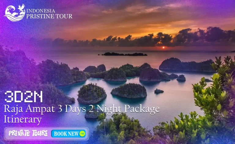 Raja Ampat 3 Days 2 Nights Package Itinerary – island hopping, snorkeling, and scenic viewpoints