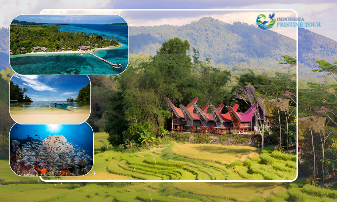 ulawesi Travel Guide: Explore the beauty, culture, and adventure of Indonesia's enchanting Sulawesi island