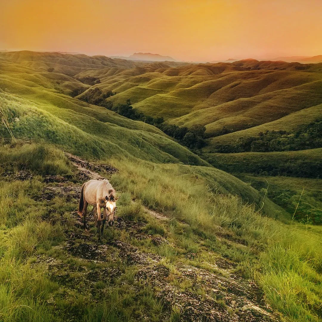 Sumba Pristine Tours