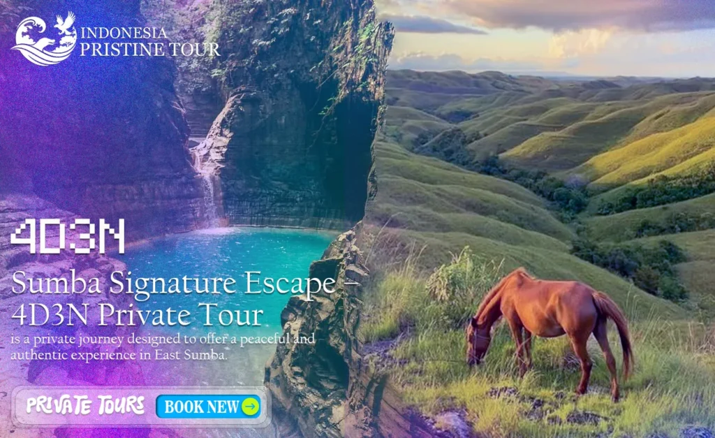 Sumba - 4D3N Private Tour