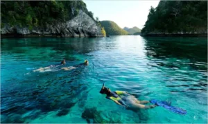 Top 3 snorkeling spots on Alor Island, Indonesia with vibrant coral reefs and clear waters