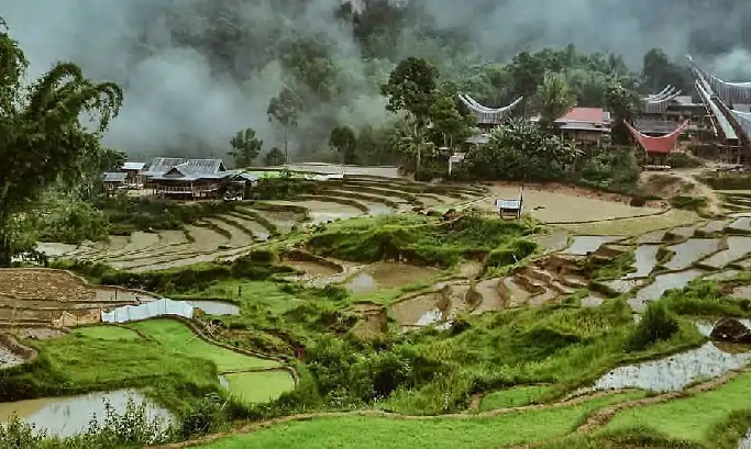Traditional Tongkonan house in Toraja Sulawesi during cultural tour