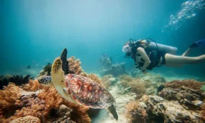 Top snorkeling spots in Lombok with crystal-clear waters