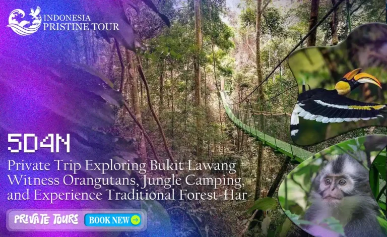 Exploring Bukit Lawang