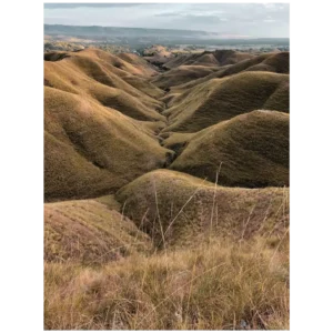 How to travel to Sumba island in Indonesia with scenic coastline and traditional villages