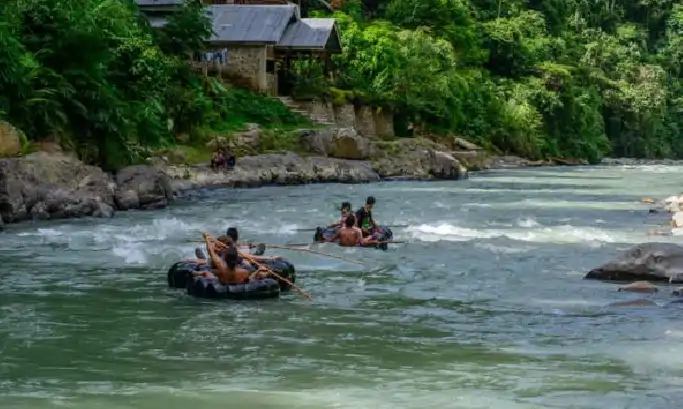 Wild orangutan in Bukit Lawang rainforest during jungle trekking experience