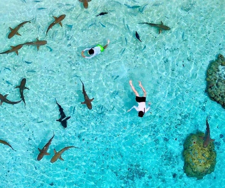 Private island hopping in Raja Ampat exploring limestone islands and turquoise lagoons