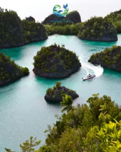 Raja Ampat snorkeling packages 2026 with crystal clear waters and vibrant coral reefs in Papua, Indonesia