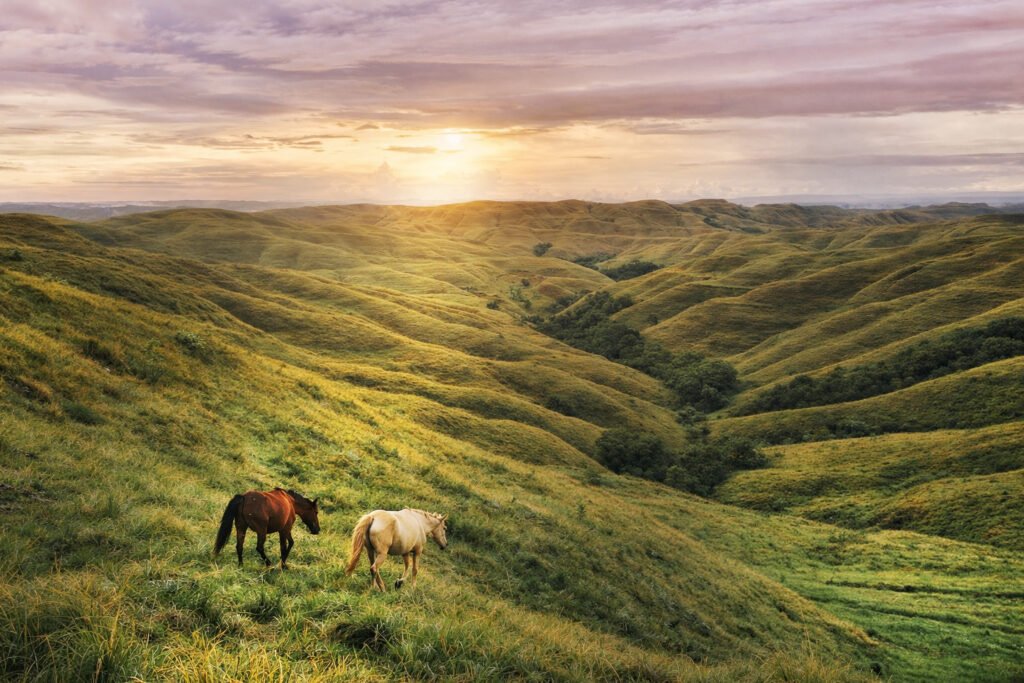 Sumba Tourism An Exotic Paradise in Eastern Indonesia
