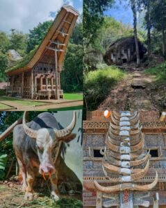 Tana Toraja, Indonesia cultural landscape – best Tana Toraja tour package price