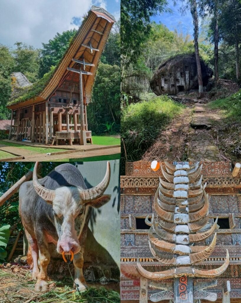 Tana Toraja, Indonesia cultural landscape – best Tana Toraja tour package price