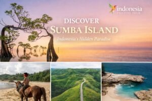 Sumba itinerary travel guide by Indonesia Pristine Tour featuring top destinations on Sumba Island