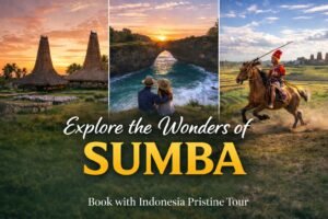 Sumba Tour Package - Indonesia Pristine Tour, Explore Sumba from Bali, Lombok, Flores & Kupang