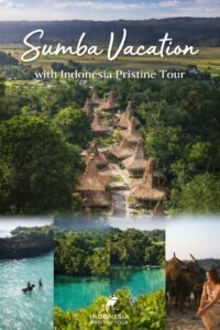 Sumba Vacation with Indonesia Pristine Tour – Explore Beaches, Waterfalls & Culture